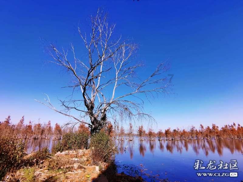 倪海厦:脾胃不好,湿气重的人,用这个方子,经常喝不易生大病