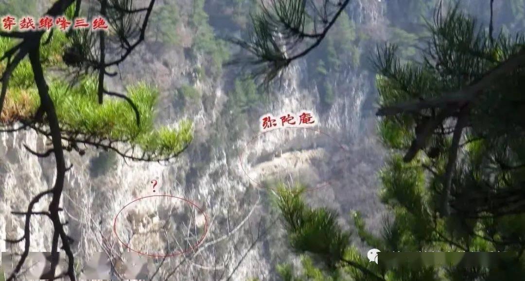 尉氏县小陈乡：蔬菜大棚春意浓 增收致富忙不停