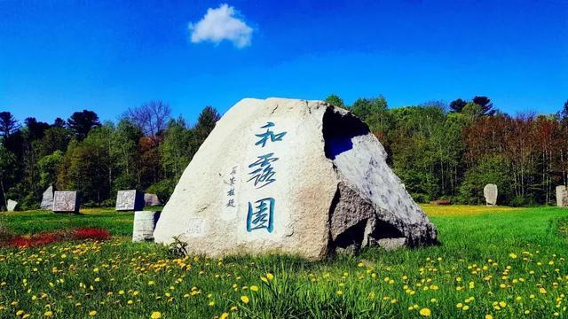 夏日的婚礼
